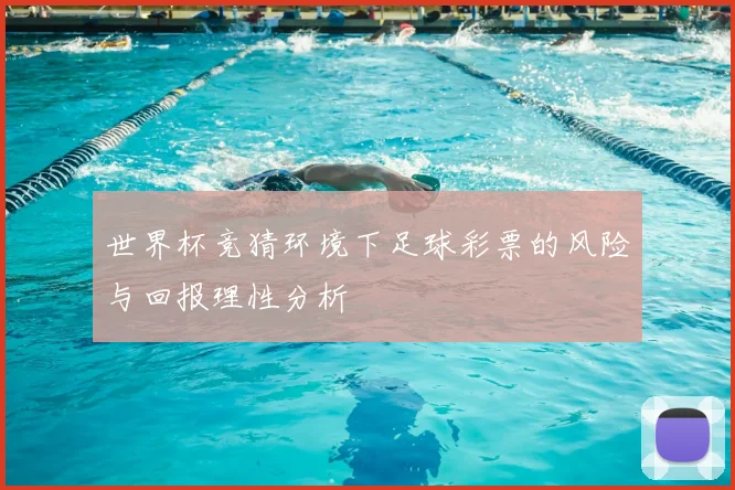 世界杯竞猜环境下足球彩票的风险与回报理性分析