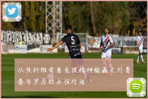 从焦科维奇看竞技精神输赢之外青春与岁月的永恒对话