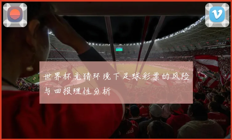 世界杯竞猜环境下足球彩票的风险与回报理性分析
