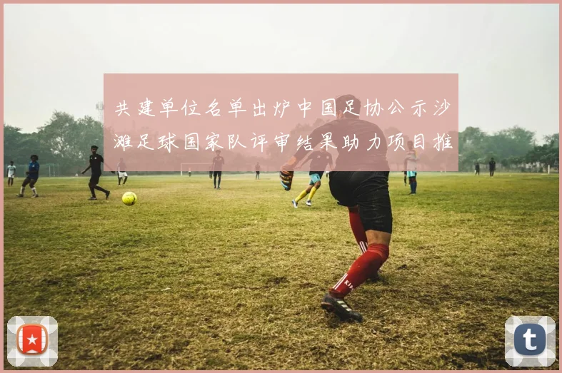 共建单位名单出炉中国足协公示沙滩足球国家队评审结果助力项目推广