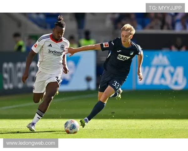 德甲联赛球队名单大全：2025赛季最新球队汇总