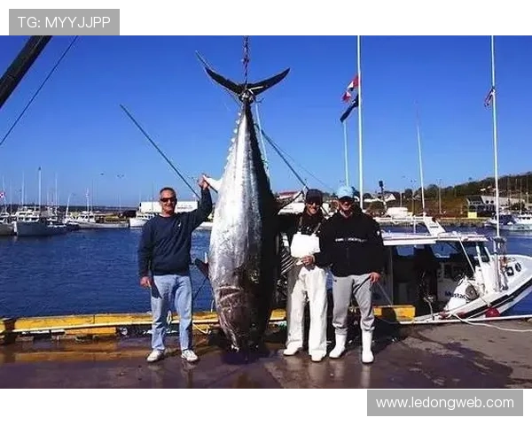 意甲各支球队名称由来大揭秘 每一个名字都值得被尊重